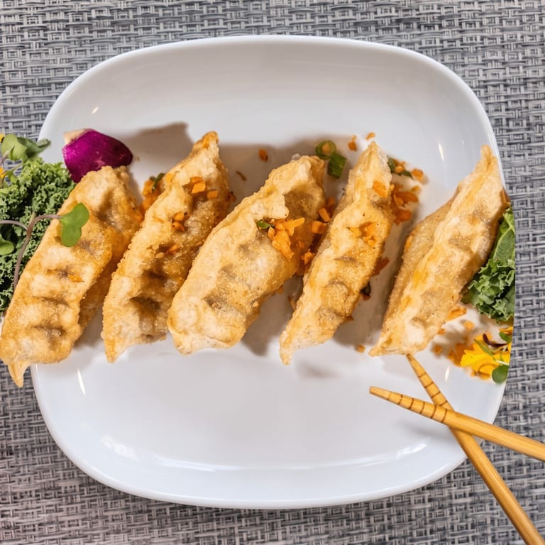 Savor Our Gyoza